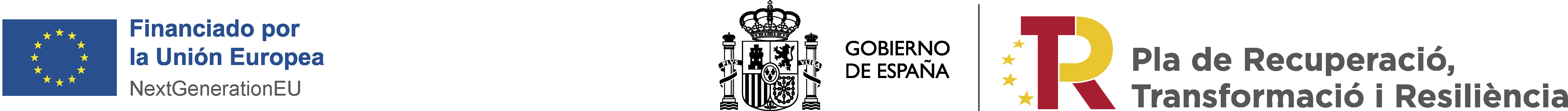 ca_digital_toolkit_kit_digital_subvencions_digitaliza_la_teva_empresa_vic_osona_manlleu_torello.png